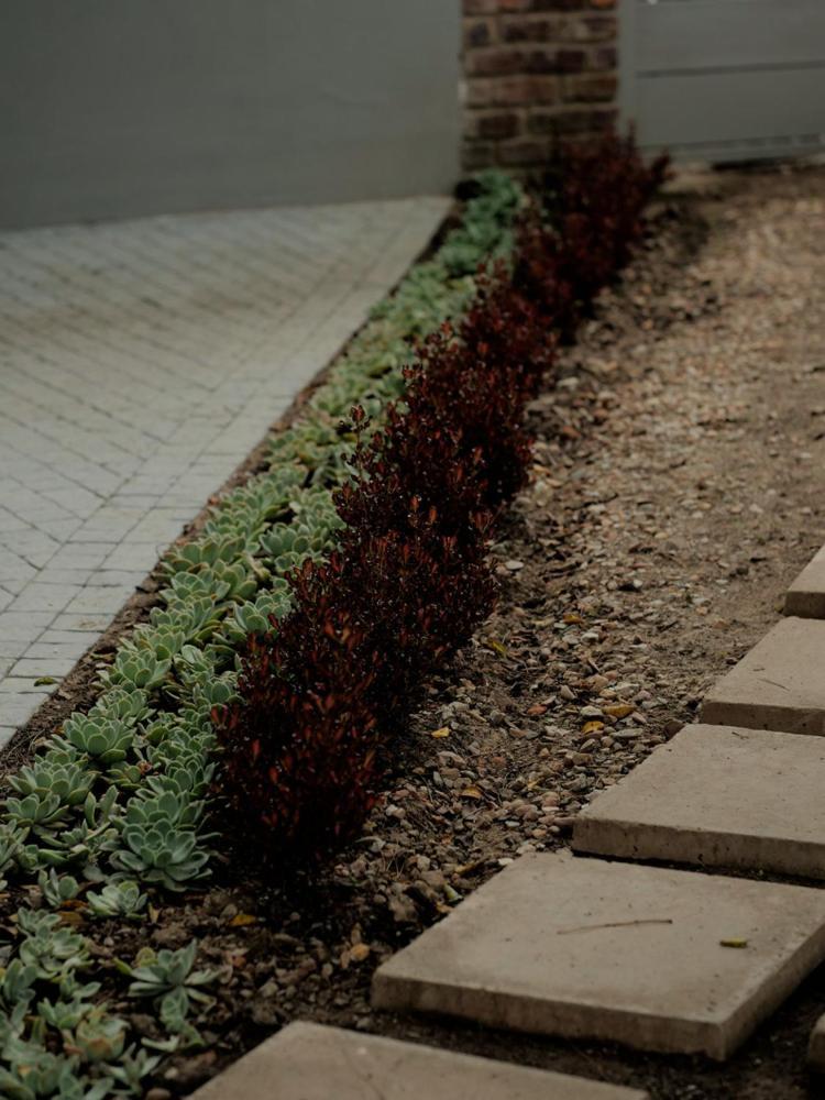 Arbour1 Guesthouse George Zewnętrze zdjęcie