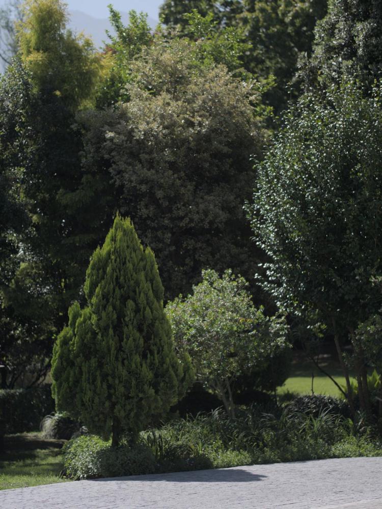 Arbour1 Guesthouse George Zewnętrze zdjęcie